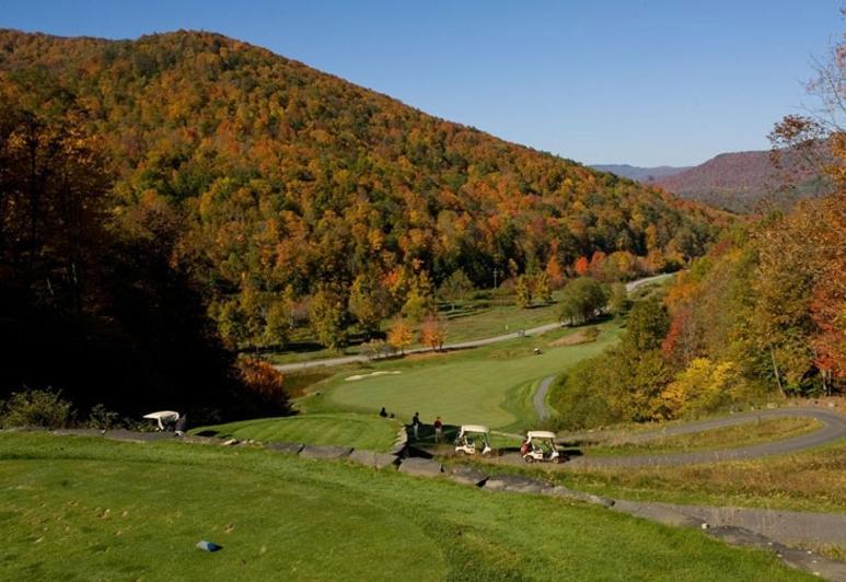 Allegheny Springs Сноушу Екстериор снимка