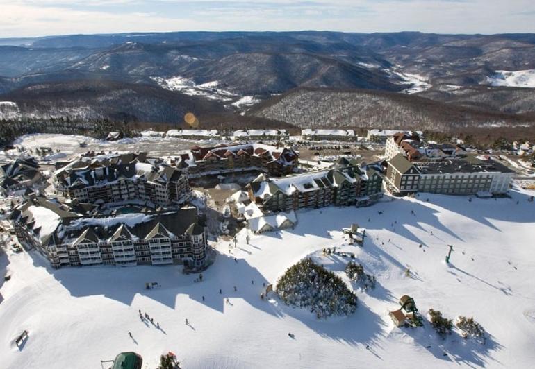 Allegheny Springs Сноушу Екстериор снимка