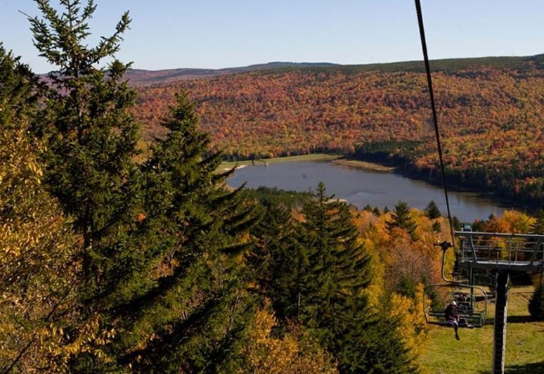 Allegheny Springs Сноушу Екстериор снимка