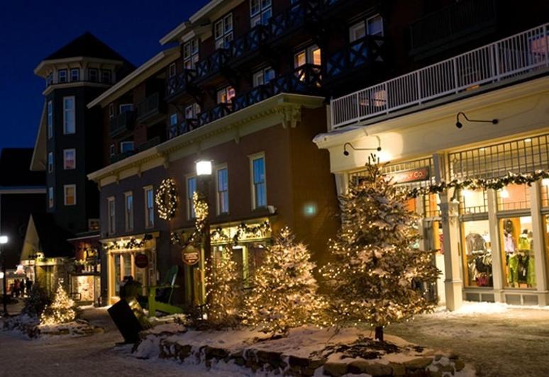 Allegheny Springs Сноушу Екстериор снимка